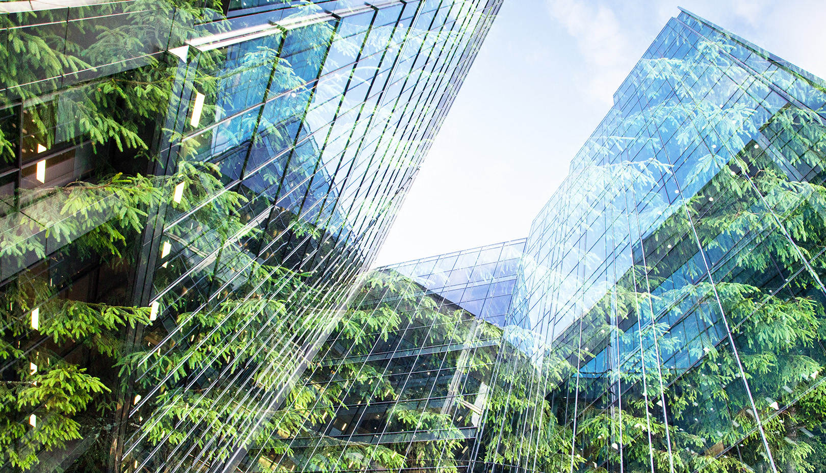 Entreprise et ecologie